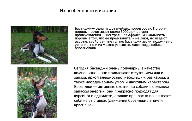 Файл:Методика оценки заданий 13-15.pdf