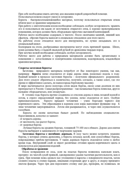 Файл:МК Андреева А.А. МАОУ ДО ЭБЦ апрель 2026.pdf
