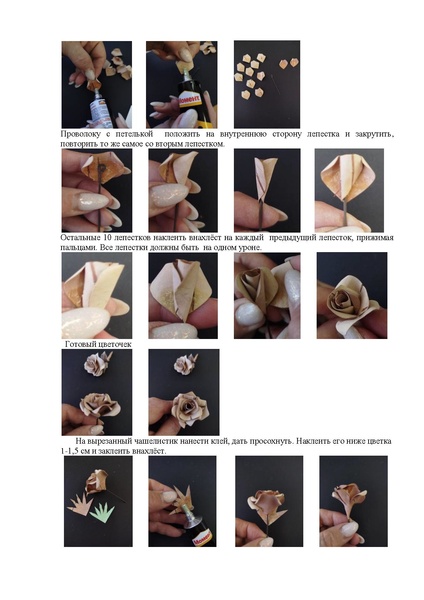 Файл:МК Андреева А.А. МАОУ ДО ЭБЦ апрель 2026.pdf