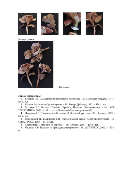 Файл:МК Андреева А.А. МАОУ ДО ЭБЦ апрель 2026.pdf