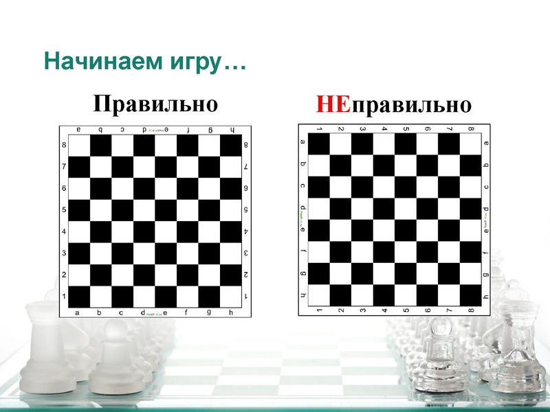 Файл:Шахматные правила и шахматный этикет.pdf