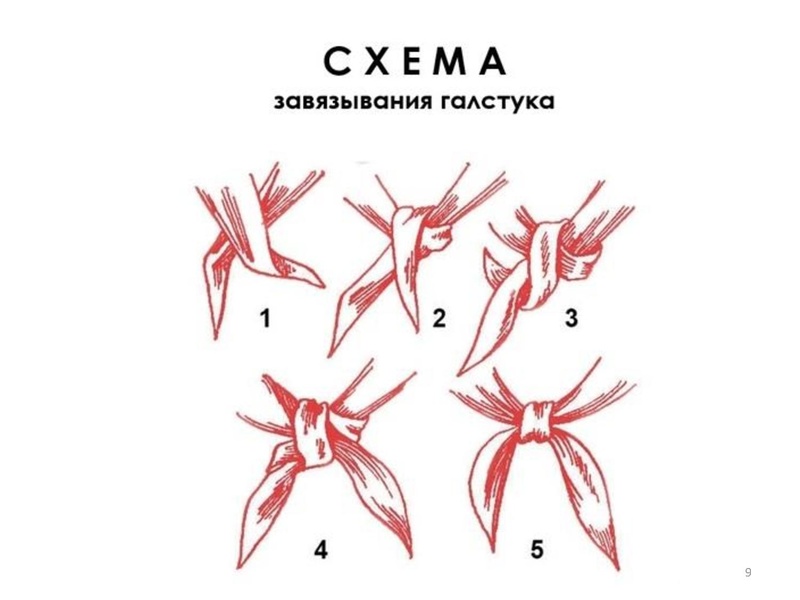 Файл:Презентация Тренинг Эффективное настанчество.pdf