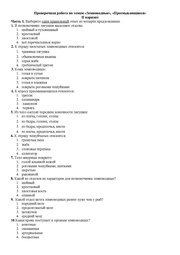 следующая страница →