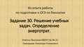 Миниатюра для версии от 11:56, 19 февраля 2020