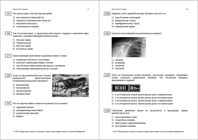 Файл:БИ-9 ДЕМО 2012.pdf