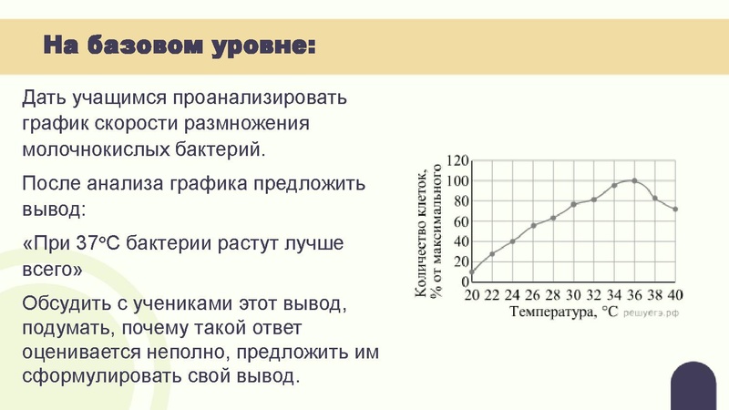 Файл:Вебинар 02.03.pdf