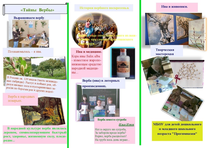 Файл:Буклет .pdf