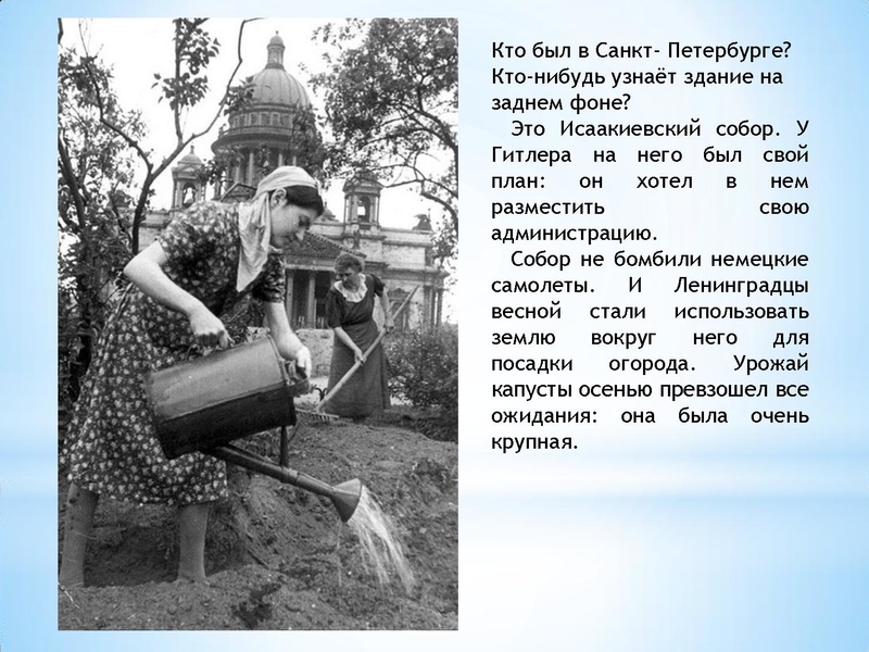 Файл:Экскурс Блокада Ленинграда Селиверстова 2022.pdf