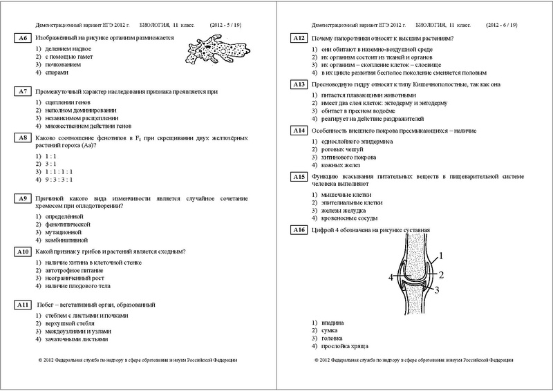 Файл:БИ ДЕМО 2012.pdf