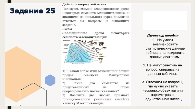 Файл:ОГЭ-2026 Биология.pdf