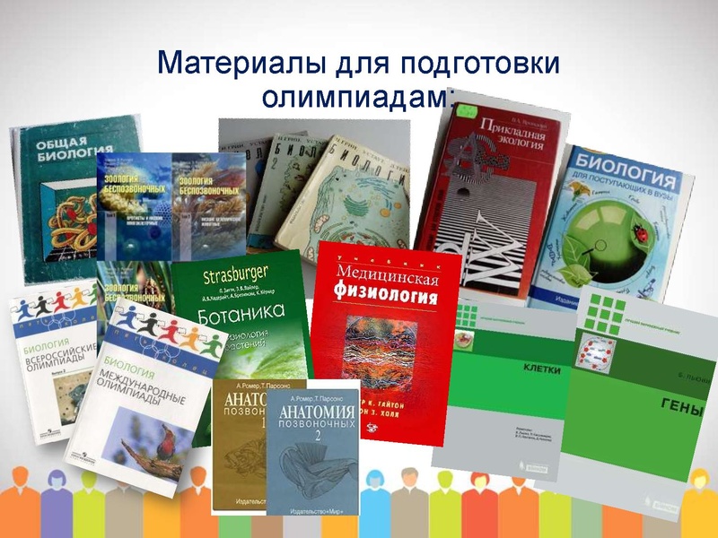 Файл:МО проблемы подготовки 2019.pdf