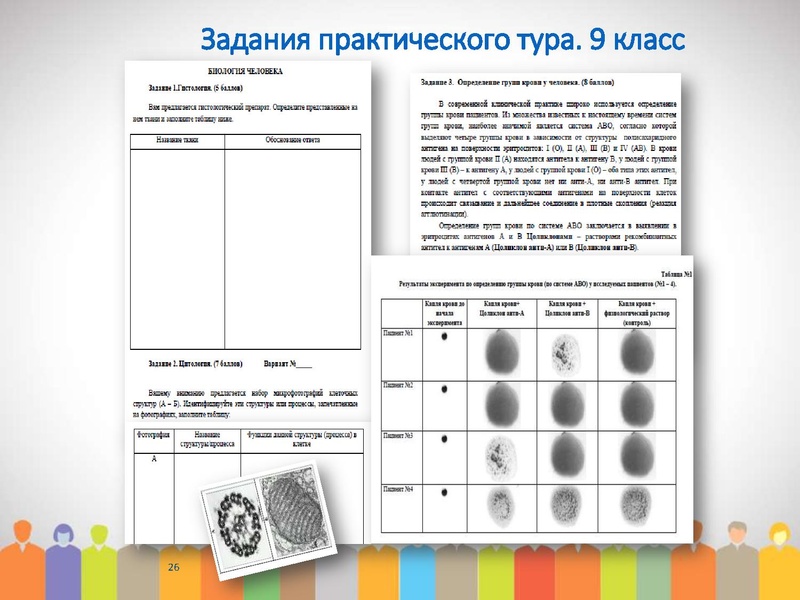Файл:МО проблемы подготовки 2019.pdf