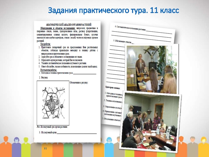 Файл:МО проблемы подготовки 2019.pdf