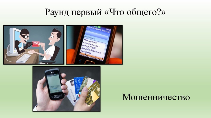 Файл:Фонарева М.А. заседание МК.pdf