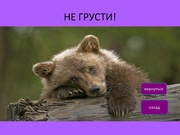 следующая страница →