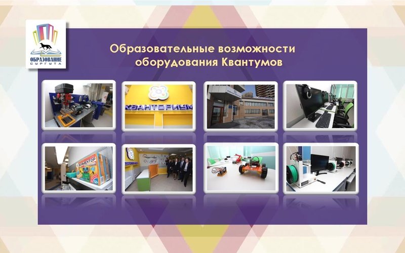 Файл:НМС МСРО 2018 август.pdf