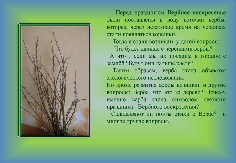 Файл:Отчёт по проекта.pdf