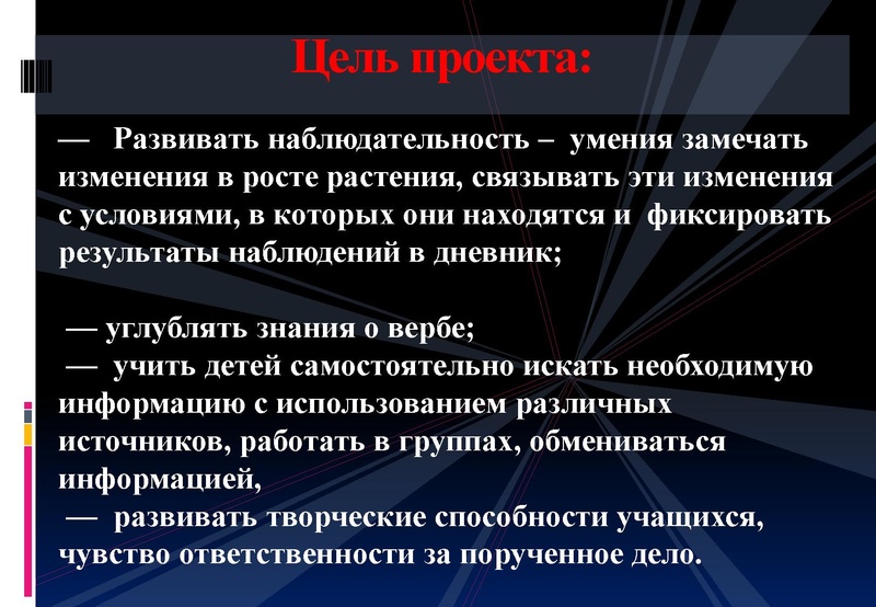 Файл:Отчёт по проекта.pdf