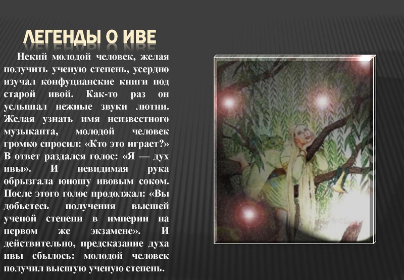 Файл:Отчёт по проекта.pdf