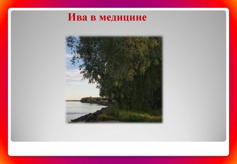 Файл:Отчёт по проекта.pdf