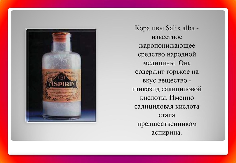 Файл:Отчёт по проекта.pdf