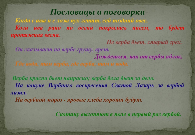 Файл:Отчёт по проекта.pdf