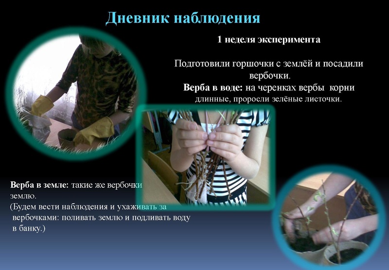 Файл:Отчёт по проекта.pdf