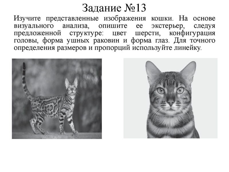 Файл:Петренко ЕН.pdf