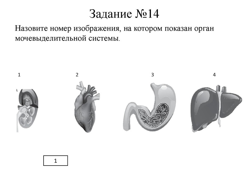 Файл:Петренко ЕН.pdf