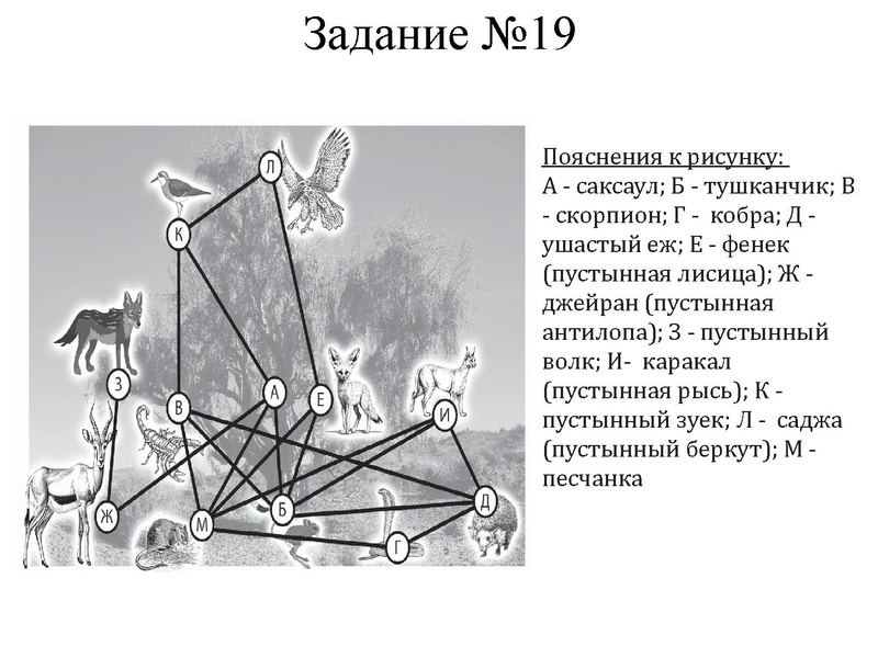 Файл:Петренко ЕН.pdf