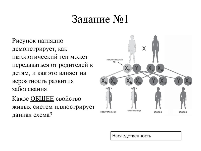 Файл:Петренко ЕН.pdf