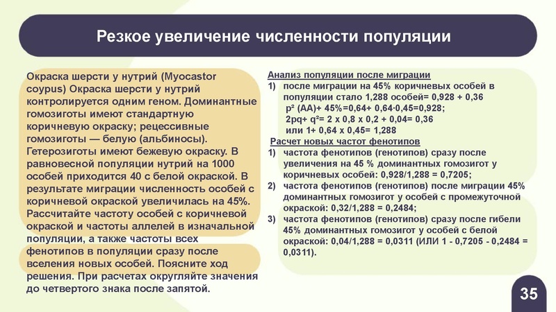 Файл:Вебинар ЕГЭ 2026 закон Харди- Вайнберга Скоробогатова А.В..pdf