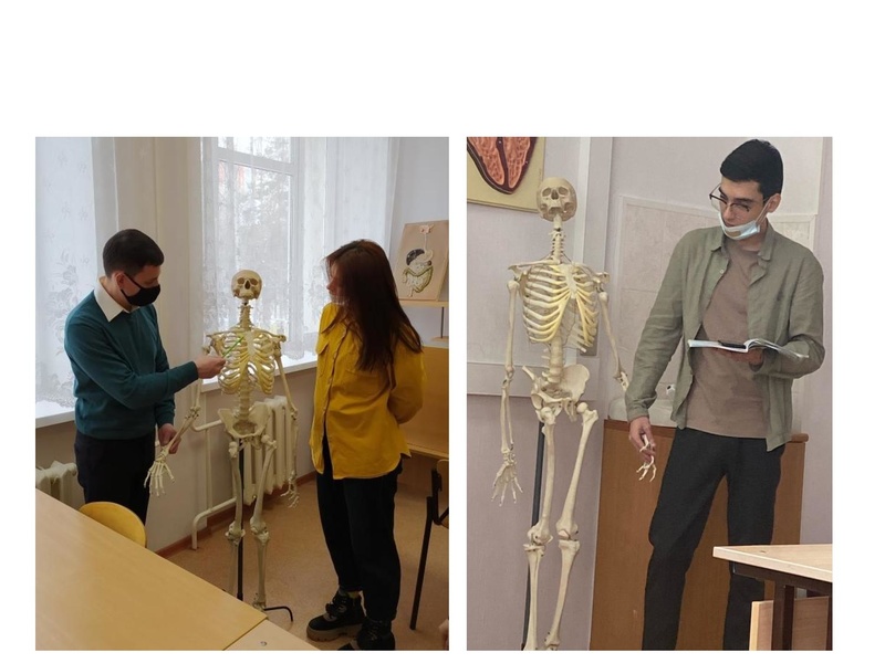 Файл:Онлайн лаборатории 12.11.21.pdf