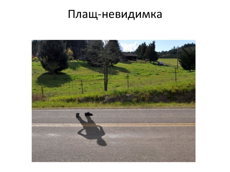 Файл:Prezentatsia NanoKot v meshke Surgut.pdf