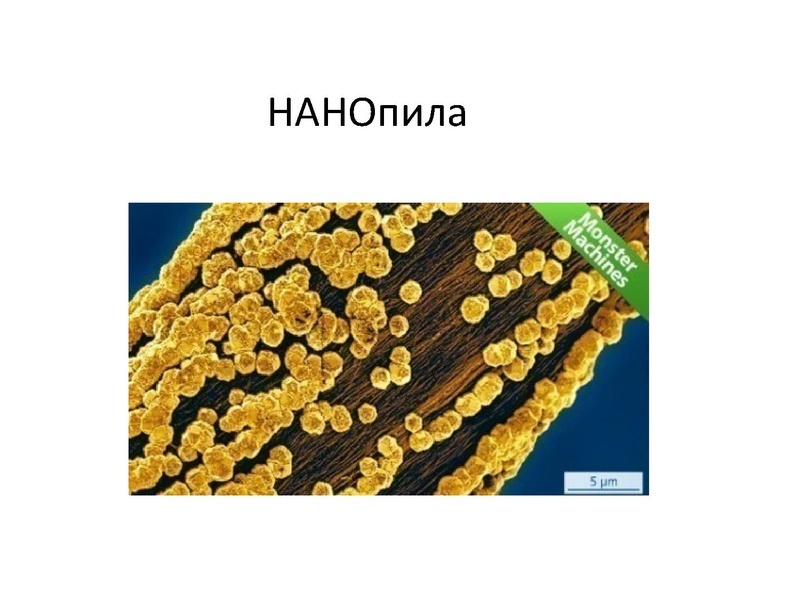 Файл:Prezentatsia NanoKot v meshke Surgut.pdf