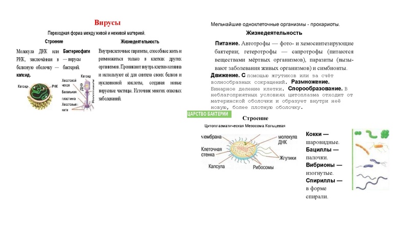 Файл:02.03.26 Сложные задания ГИА биология.pdf