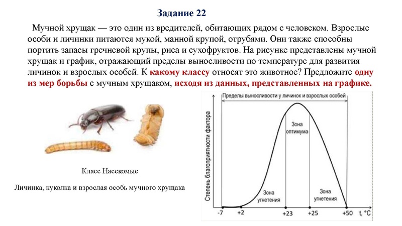 Файл:02.03.26 Сложные задания ГИА биология.pdf