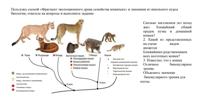 Файл:02.03.26 Сложные задания ГИА биология.pdf