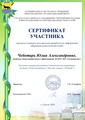 1.7. Чеботарь Ю.А.pdf