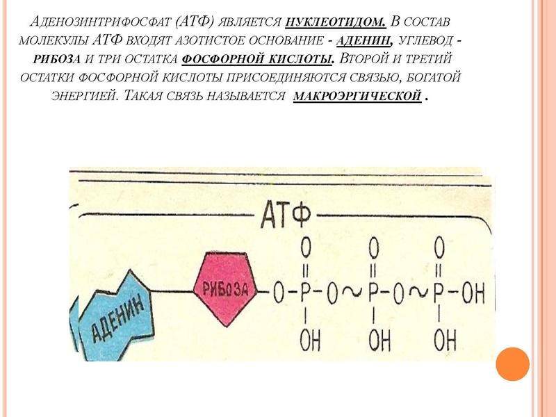 Файл:18,02.pdf