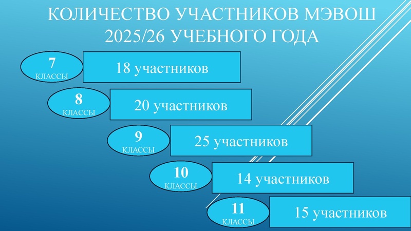 Файл:Результаты олимпиады 2025 история МЭВОШ — Андрущак.pdf