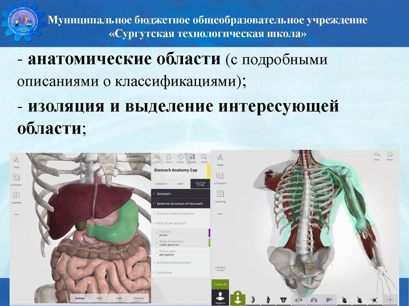 Файл:Биология стш семинар.pdf