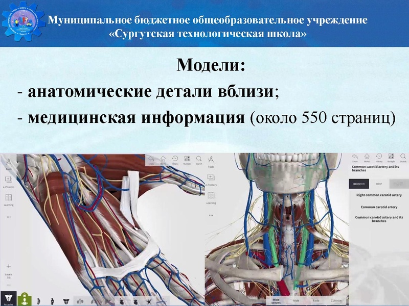 Файл:Биология стш семинар.pdf