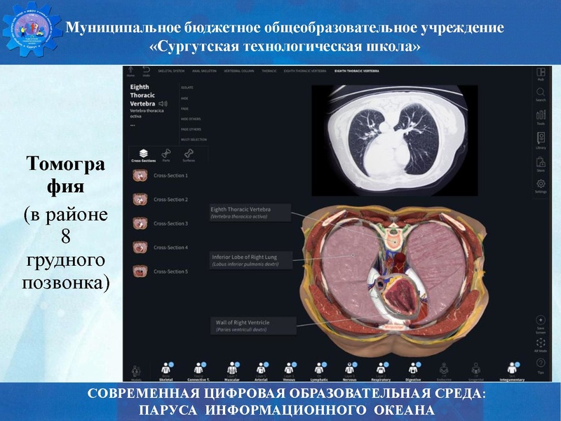 Файл:Биология стш семинар.pdf