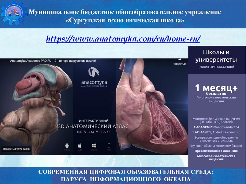 Файл:Биология стш семинар.pdf