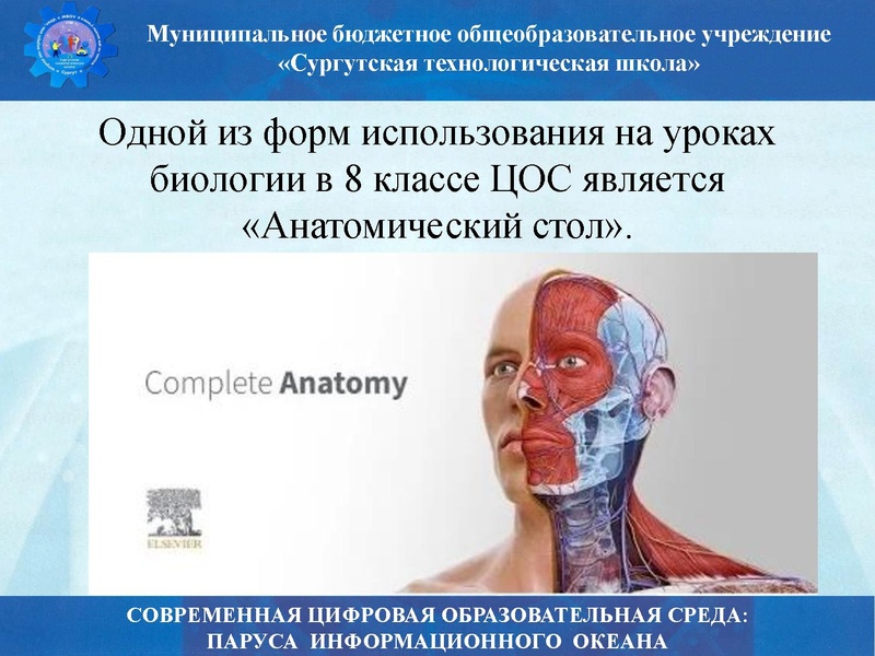 Файл:Биология стш семинар.pdf