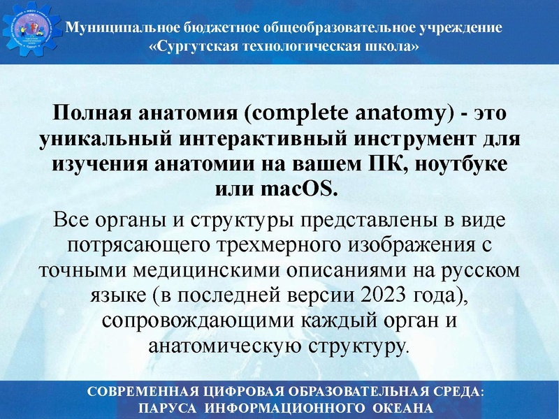 Файл:Биология стш семинар.pdf