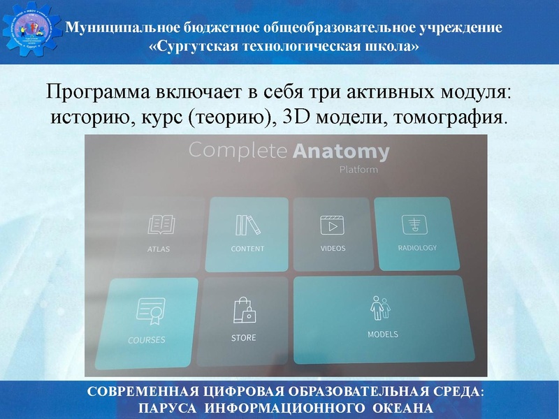 Файл:Биология стш семинар.pdf