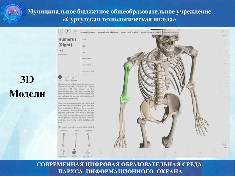 Файл:Биология стш семинар.pdf