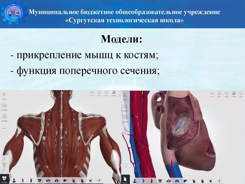 Файл:Биология стш семинар.pdf